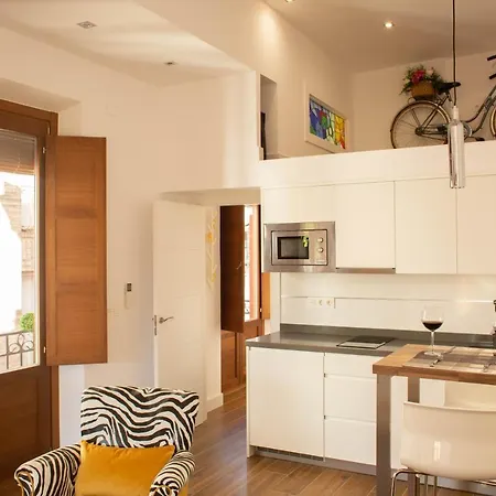 Ferienwohnung Aia Loft Bibrambla Granada Exterior foto