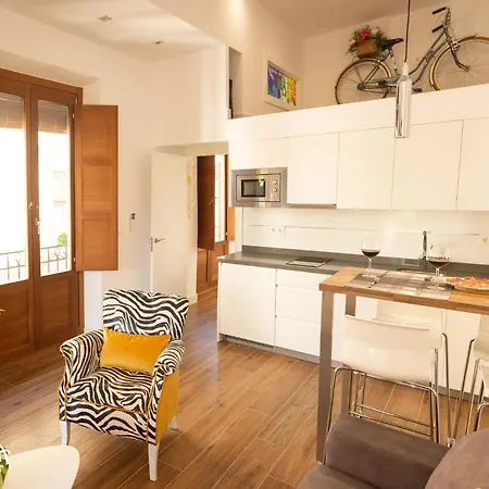 Ferienwohnung Aia Loft Bibrambla Granada Exterior foto